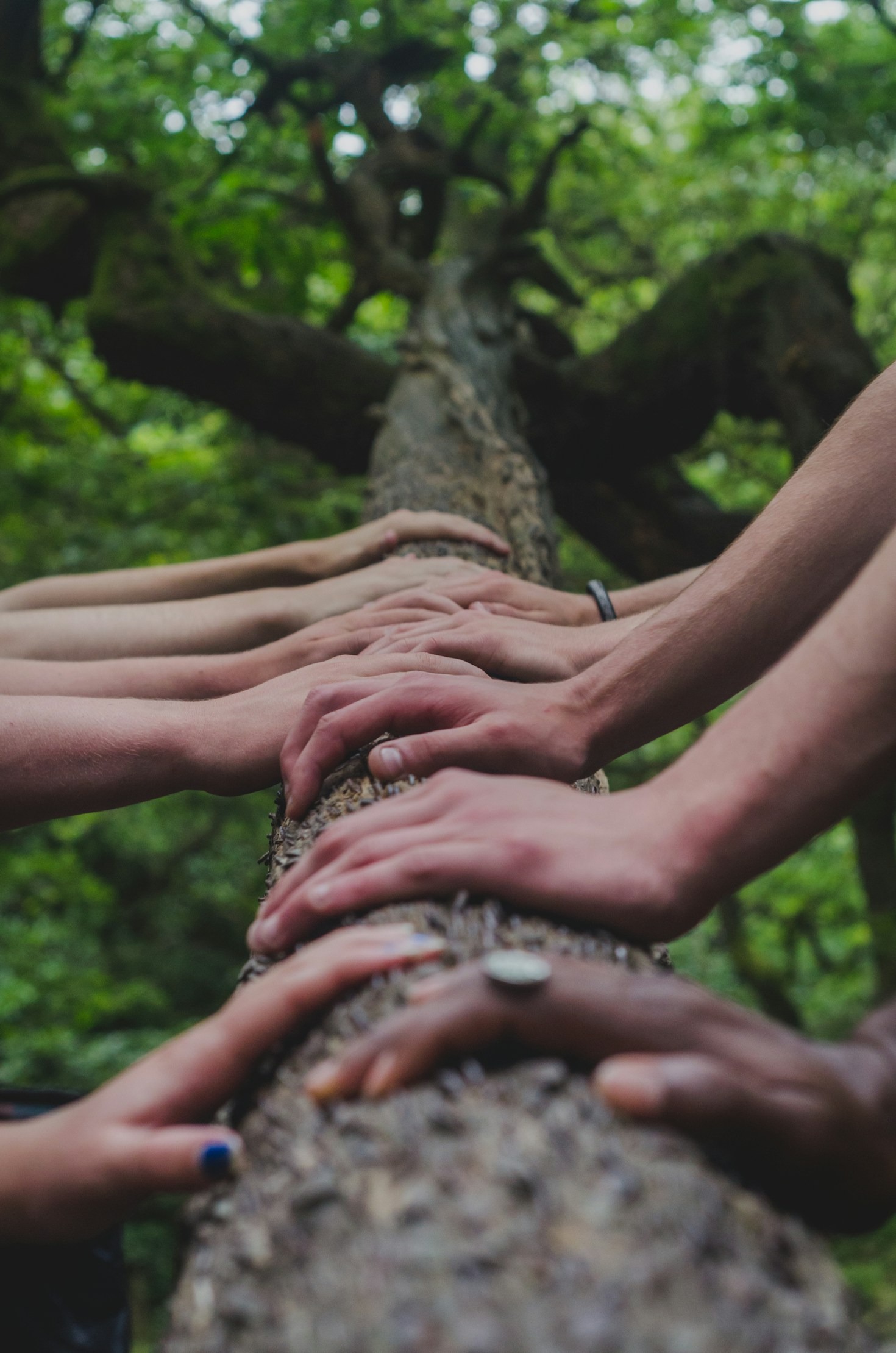 Understanding Bipolar and Depression in Depth